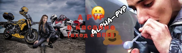 ECSTASY Богородицк