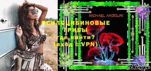 ECSTASY Богородицк
