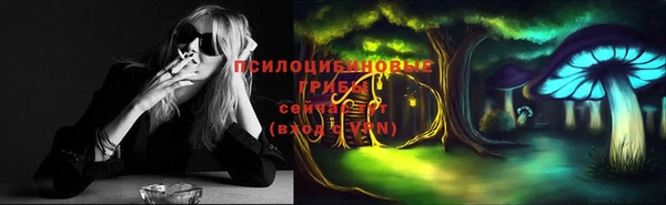 тгк Богданович