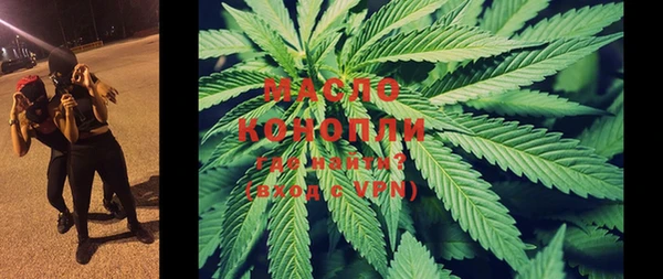 ECSTASY Богородицк