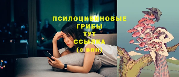 ECSTASY Богородицк