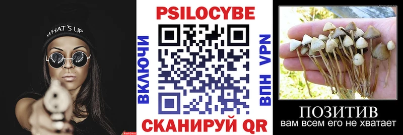 Псилоцибиновые грибы ЛСД  где купить наркоту  Дмитриев 