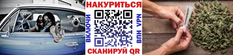Конопля SATIVA & INDICA  Дмитриев 